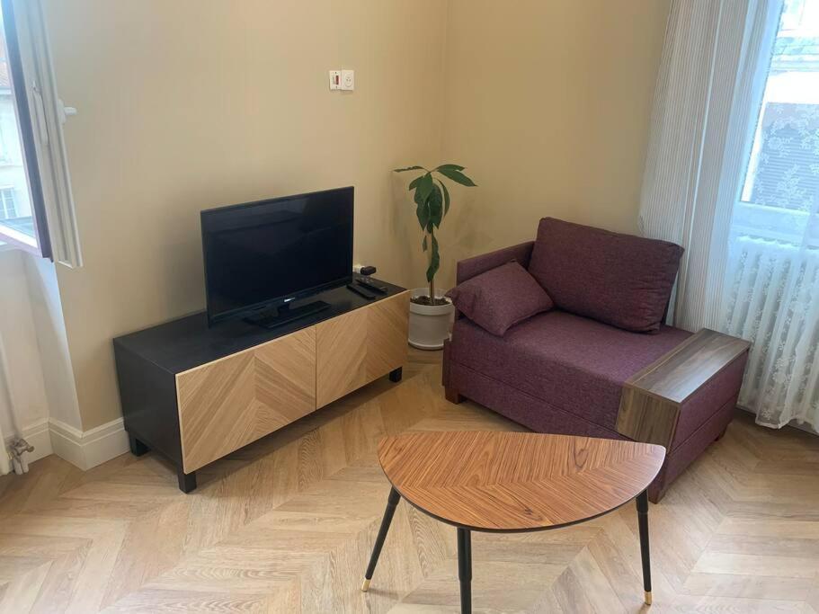 Appartement Centre Ville Historique - Le Modene Vienne  Zewnętrze zdjęcie