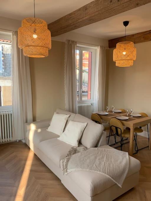 Appartement Centre Ville Historique - Le Modene Vienne  Zewnętrze zdjęcie